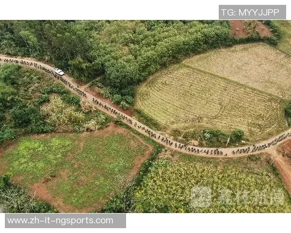 重庆极限运动队中路突破战术解析与实战应用探讨