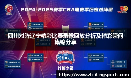 四川对阵辽宁精彩比赛录像回放分析及精彩瞬间集锦分享