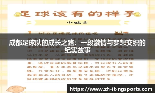 NG体育官网