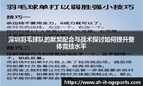 深圳羽毛球队的默契配合与战术探讨如何提升整体竞技水平